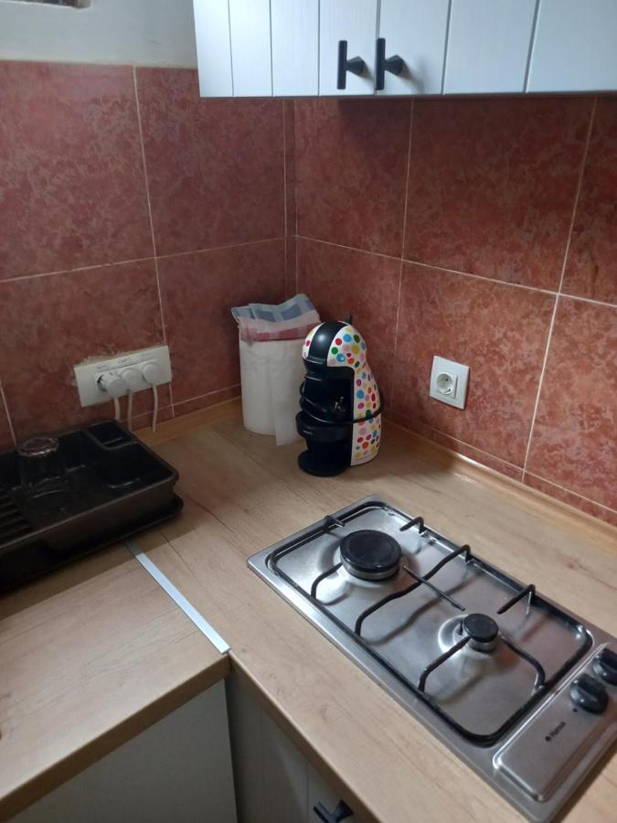 Apartmán Stan U Maslinama Podgorica Exteriér fotografie
